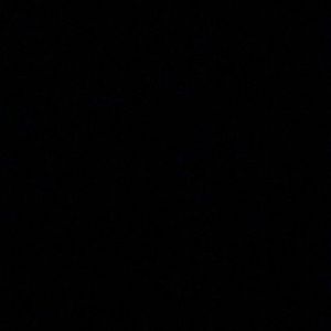 Meet your Posher, Anaiah